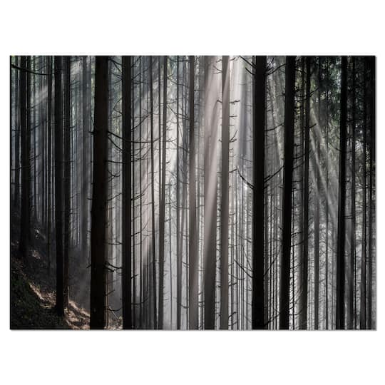 Designart - Sunbeams Peeking Through Dark Forest